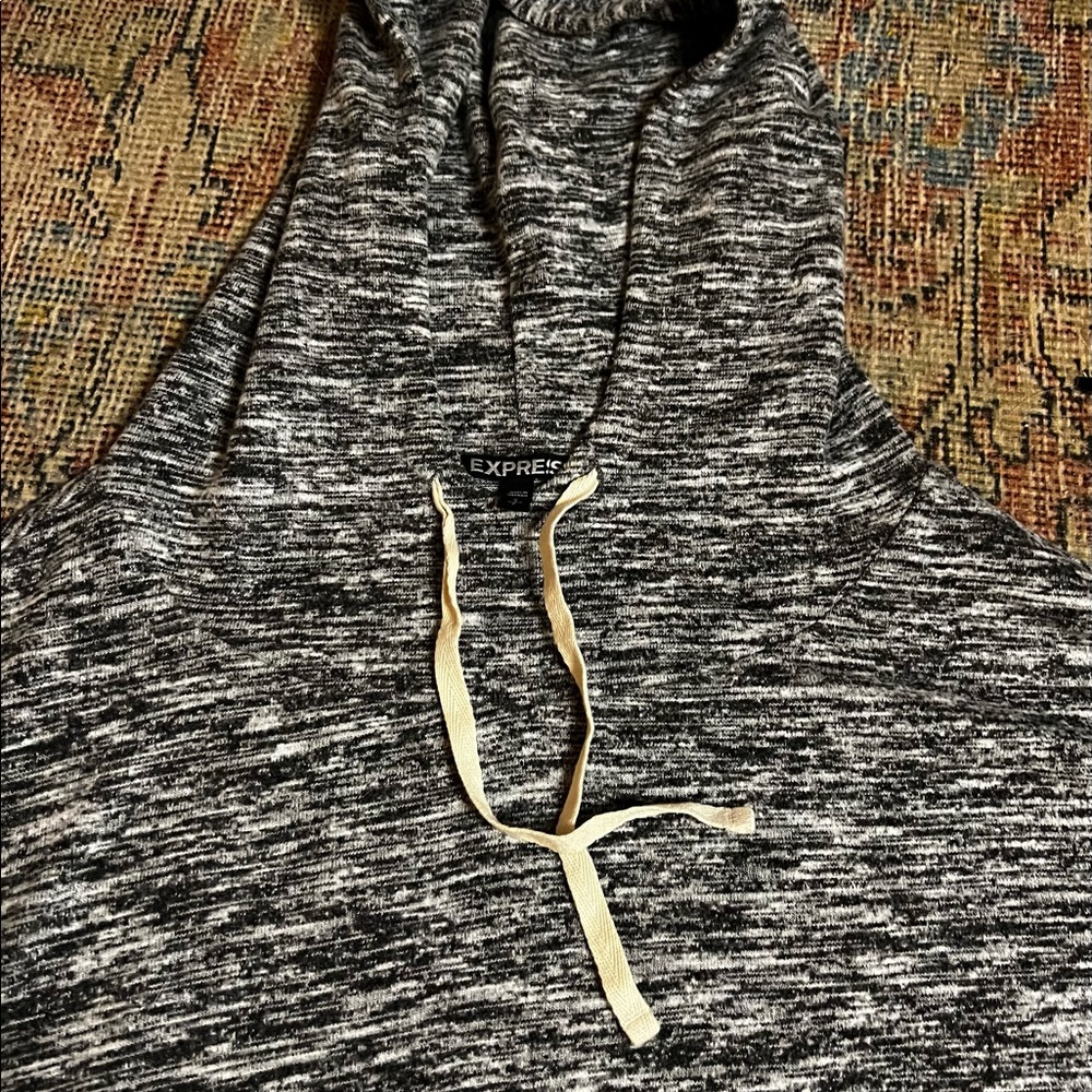 Express Super Soft Hoodie Dress View 2